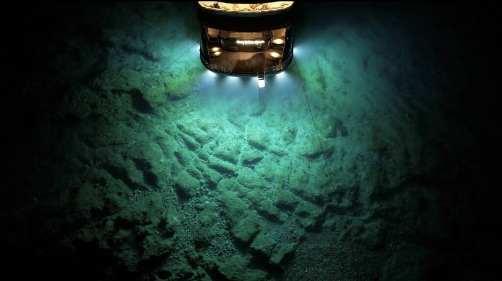 Les abysses, habitat inaccessible du poulpe Dumbo durée de vie du poulpe Dumbo dans les abysses
